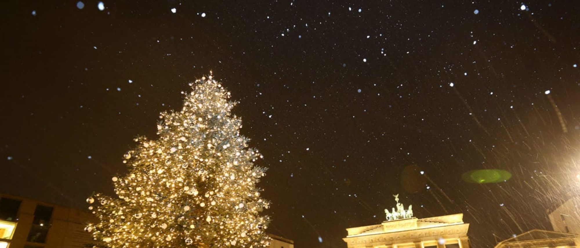 FACT CHECK Did ProPalestine Protesters Burn A Christmas Tree In New