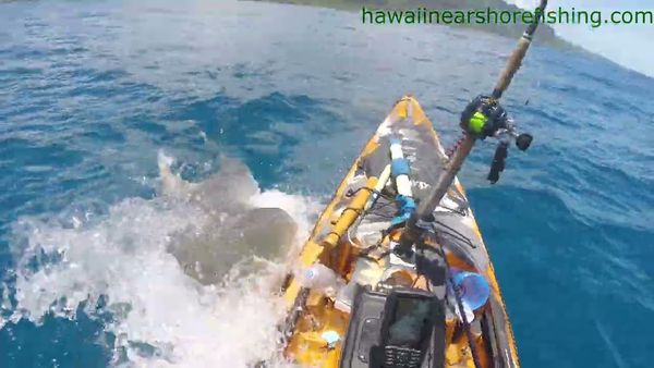 'Thank you Jesus!' Fisherman narrowly escapes kayak-chomping shark, accidentally captures viral video