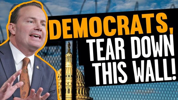 Sen. Mike Lee CALLS OUT Democrats for ENJOYING Trump impeachment trial smear