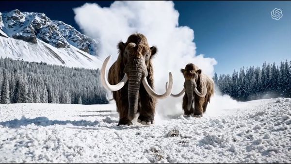 Consumers can't tell the difference between human-made and AI-generated videos, study suggests