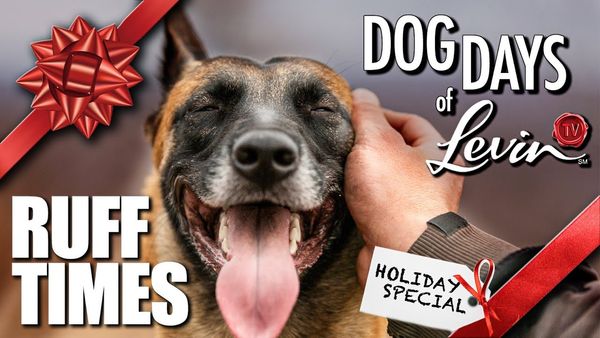 Dog Days of LevinTV: Ruff Times | Ep 876