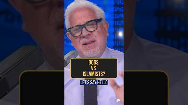 Activist wants to BAN DOGS because of THIS?!