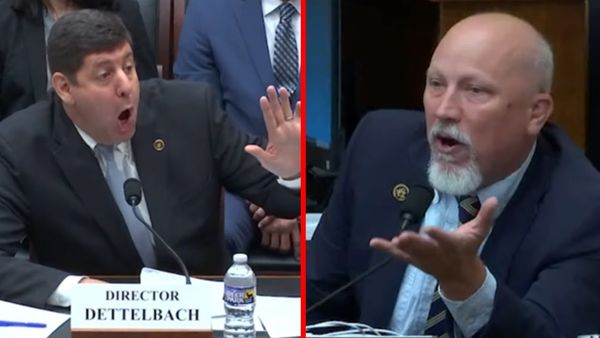 Chip Roy makes ATF Director SQUIRM when Grilled on 2nd Amendment Views