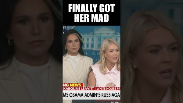 CNN Reporter Humiliated as Question Blows Up in Her Face