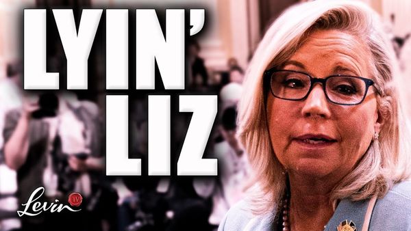 Lyin' Liz Strikes Again