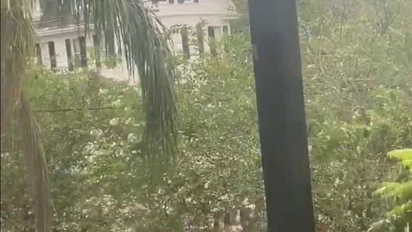 Students Claim Tulane’s Coronavirus Restrictions Insufficient—After Violating Them to Protest the Police