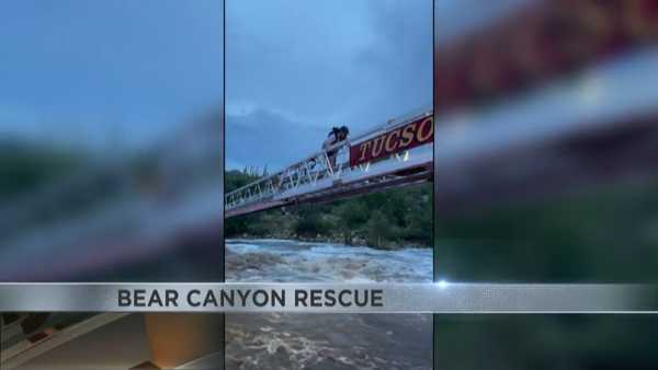 Rescue teams save 25 people stranded by flash flooding in national forest
