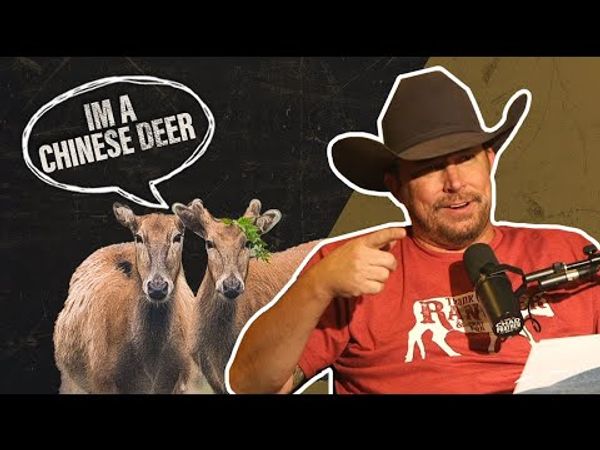 The Government Doesn't Want You to Be Off-Grid | The Chad Prather Show