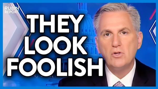 Republican Makes the GOP Look Foolish by Pointing Out This Simple Solution | DM CLIPS | Rubin Report
