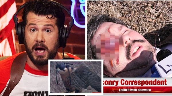 Crowder's Falcon Correspondent: Thomas Finnegan | Louder With Crowder