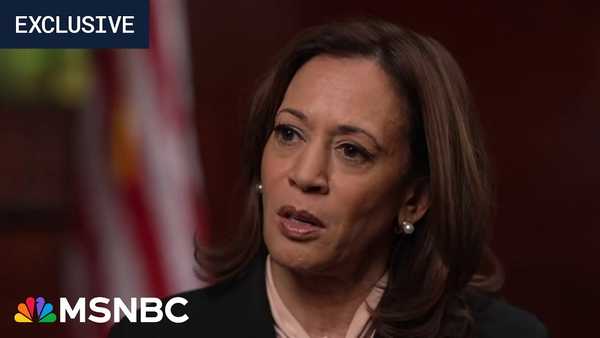 ‘Grifty And Gross’: MSNBC Insider Reportedly Sounds Off On Sharpton’s $500,000 Kamala Harris Interview