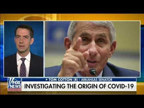 (ready) Cotton demands NIH 'come clean' about funding for Wuhan virus lab and origins of COVID-19