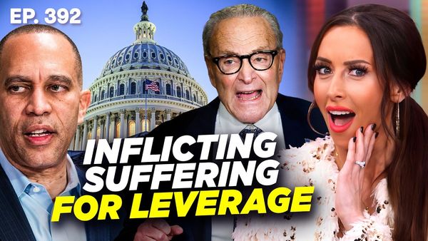 Democrats FINALLY Admit Why They Shut Down the Government