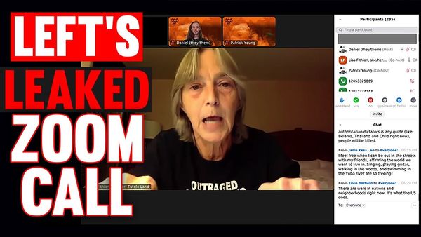 A leaked zoom call from far-left leaders EXPOSES their terrifying Election Day plans