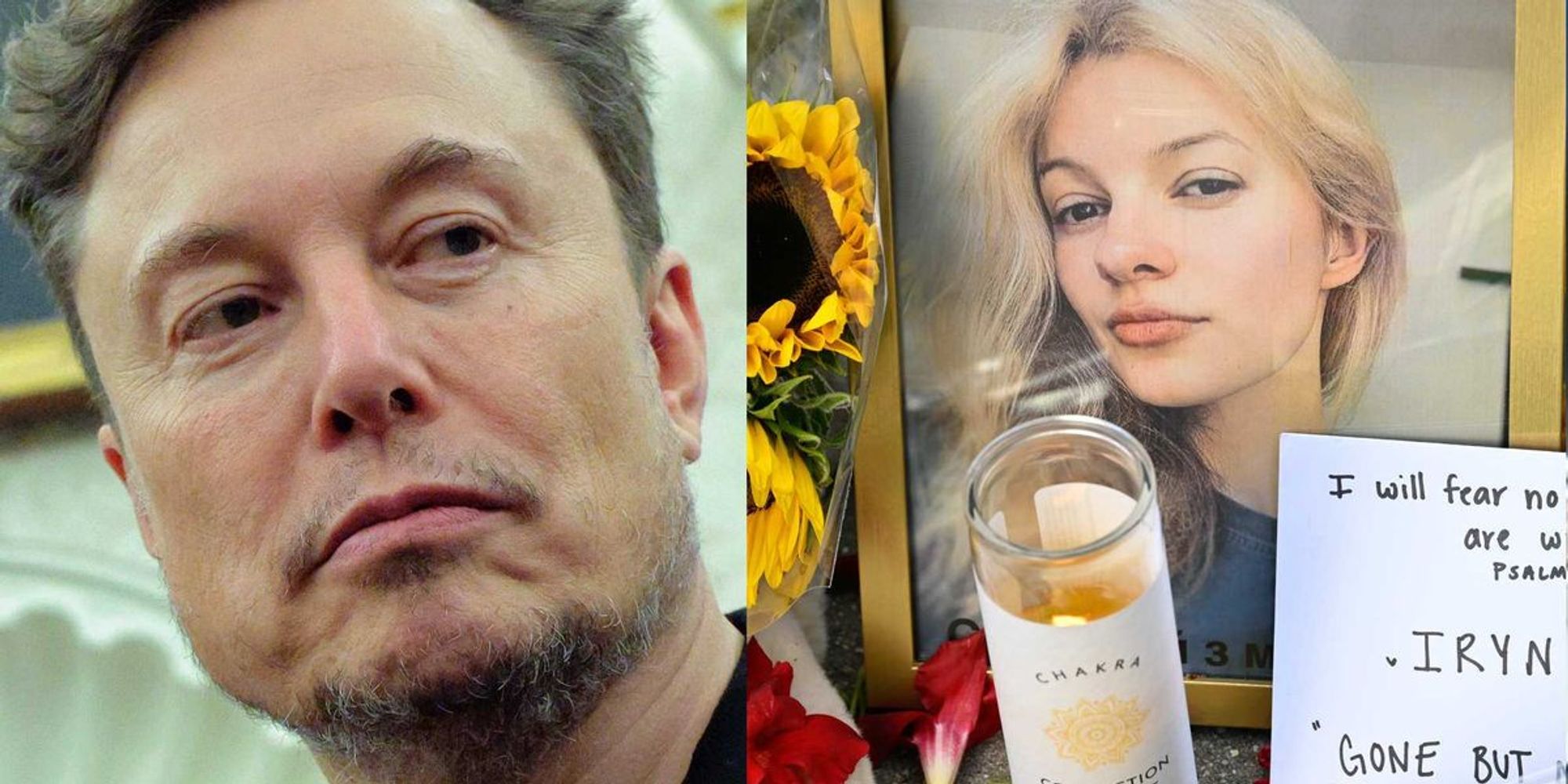 headline: Large mural in memory of Iryna Zarutska painted in