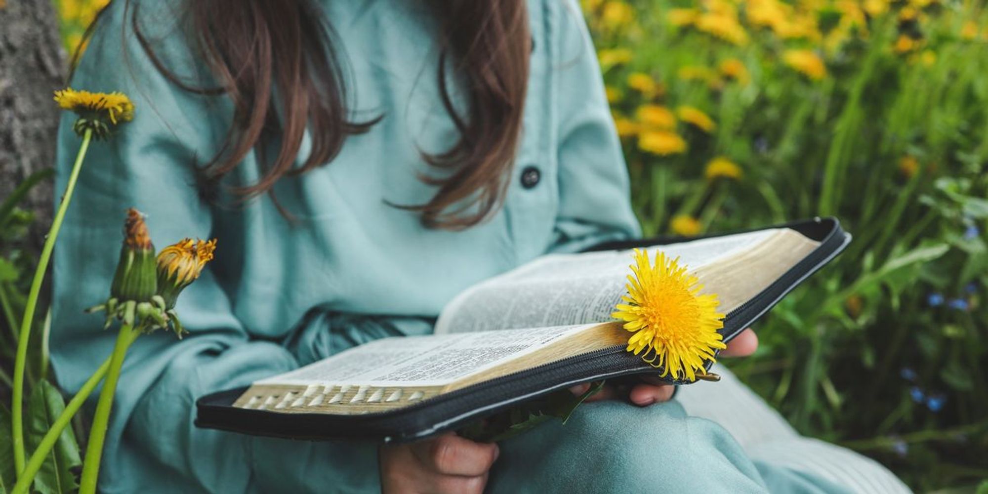 Why modesty is a countercultural virtue Christians can't afford to ...